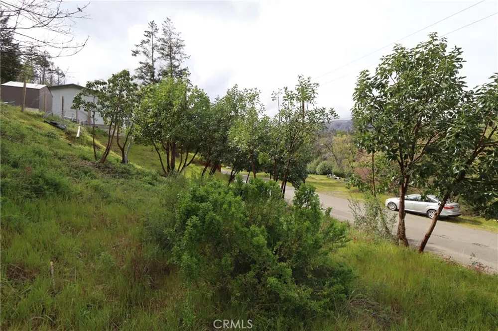 11541 Anderson Springs Road Middletown, CA 95461