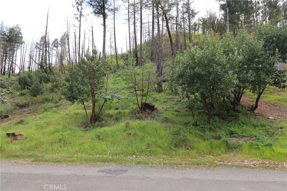 11541 Anderson Springs Road Middletown, CA 95461