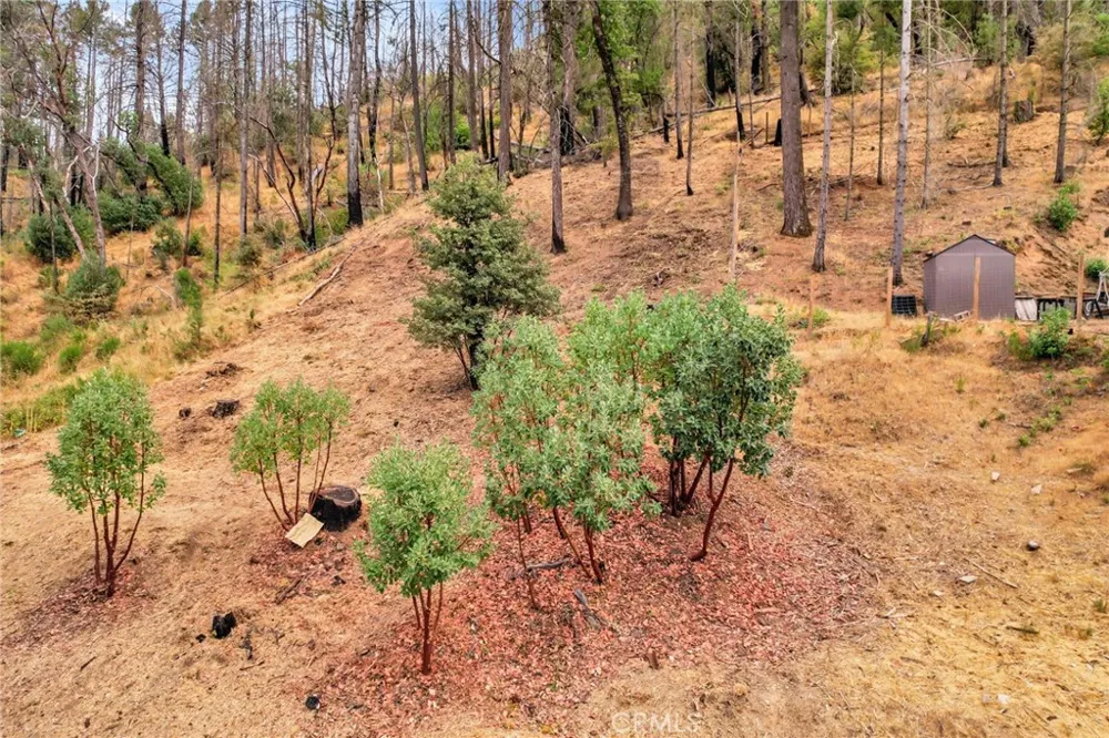 11541 Anderson Springs Road Middletown, CA 95461