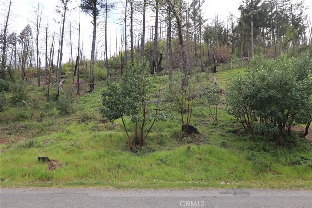 11541 Anderson Springs Road Middletown, CA 95461