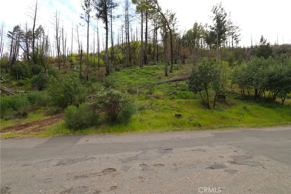11541 Anderson Springs Road Middletown, CA 95461