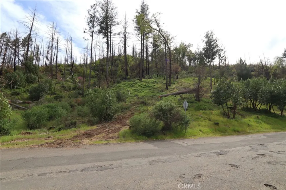 11541 Anderson Springs Road Middletown, CA 95461