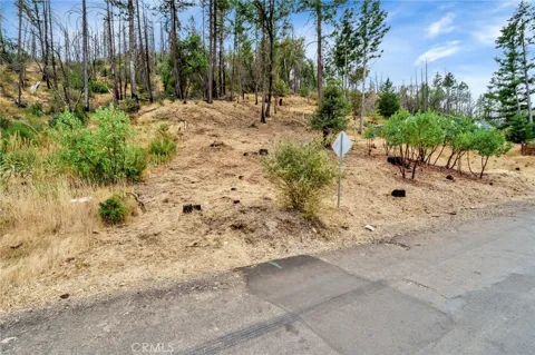 11541 Anderson Springs Road