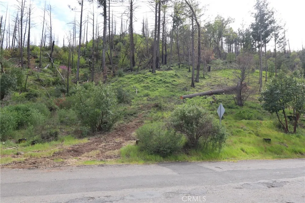 11541 Anderson Springs Road Middletown, CA 95461
