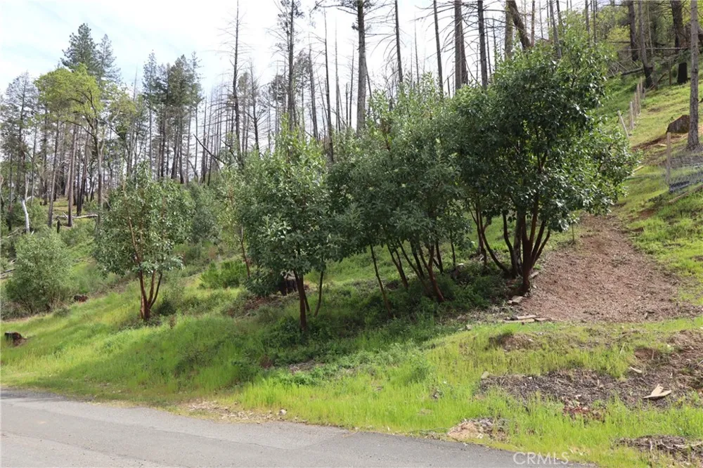11541 Anderson Springs Road Middletown, CA 95461