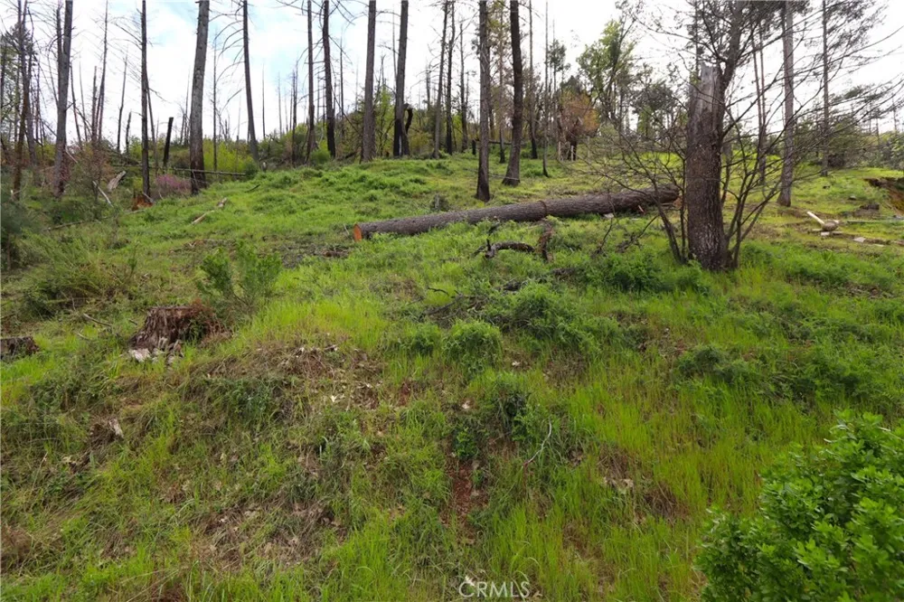 11541 Anderson Springs Road Middletown, CA 95461