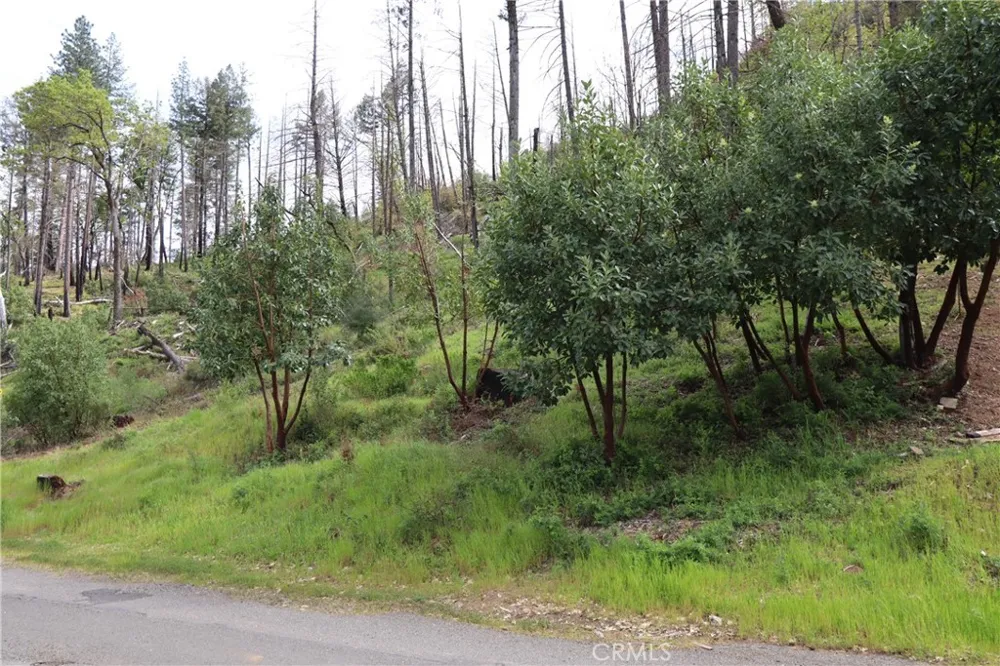 11541 Anderson Springs Road Middletown, CA 95461