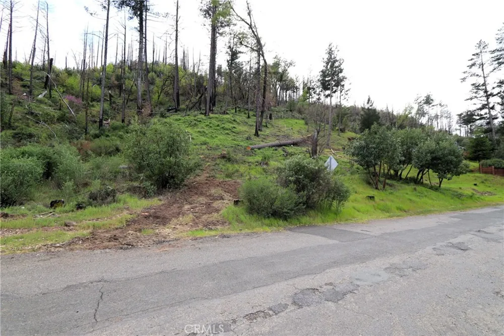 11541 Anderson Springs Road Middletown, CA 95461