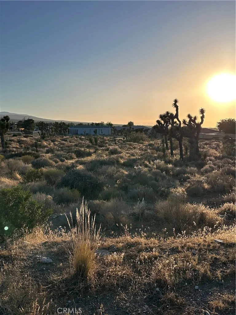 11561 Buena Vista Pinon Hills, CA 92372