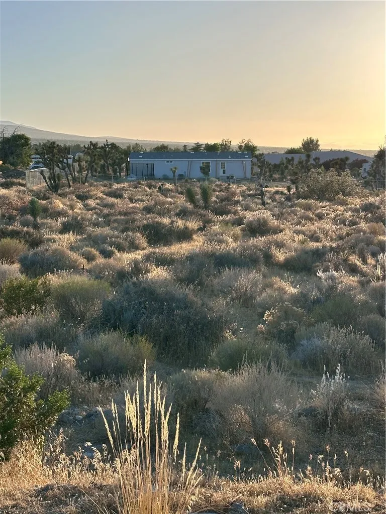 11561 Buena Vista Pinon Hills, CA 92372