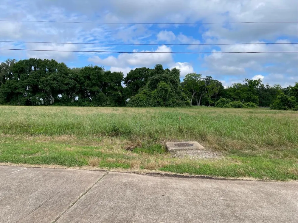 118 Pony Trail Angleton, TX 77515