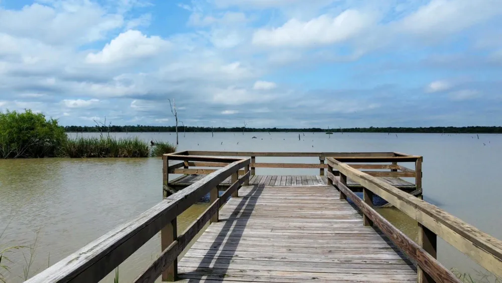 118 Pony Trail Angleton, TX 77515
