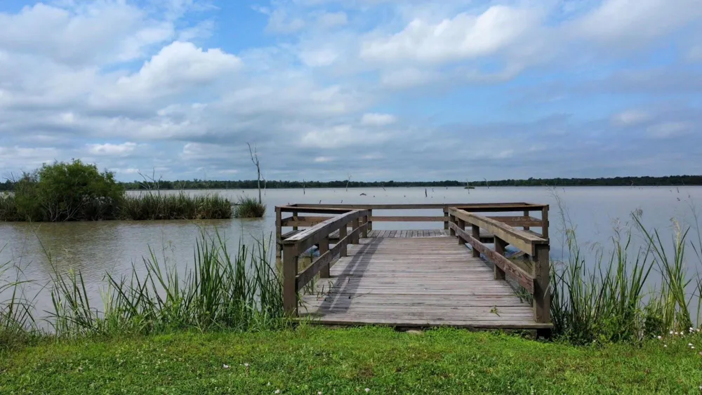 118 Pony Trail Angleton, TX 77515