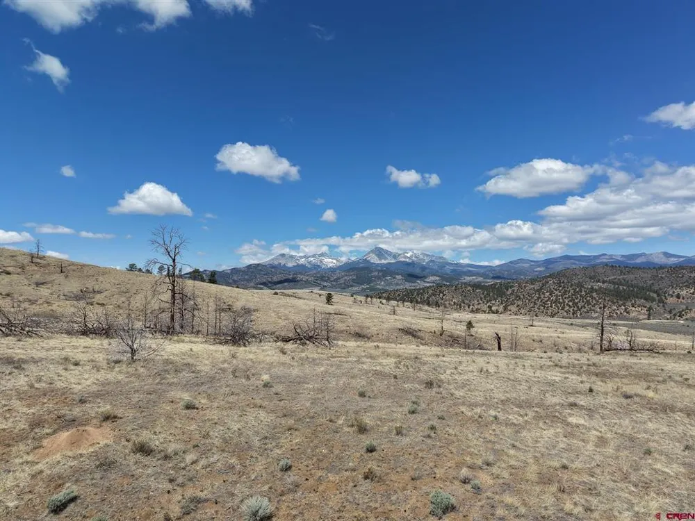 7631 Lewis Smith Rd Fort  Garland, CO 81133