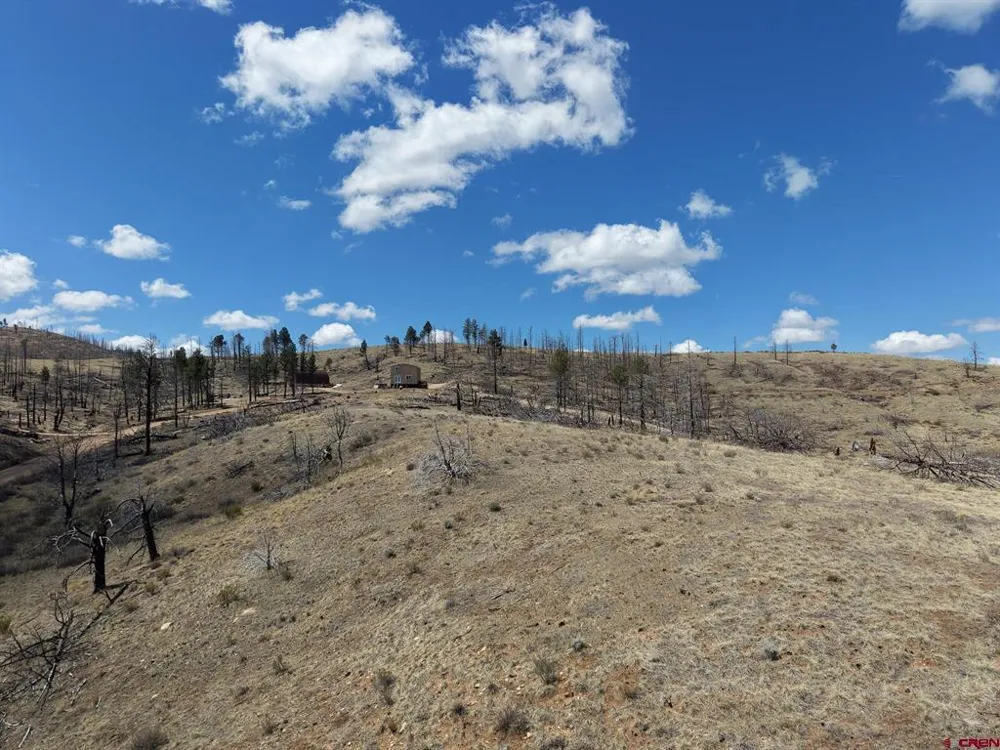 7631 Lewis Smith Rd Fort  Garland, CO 81133