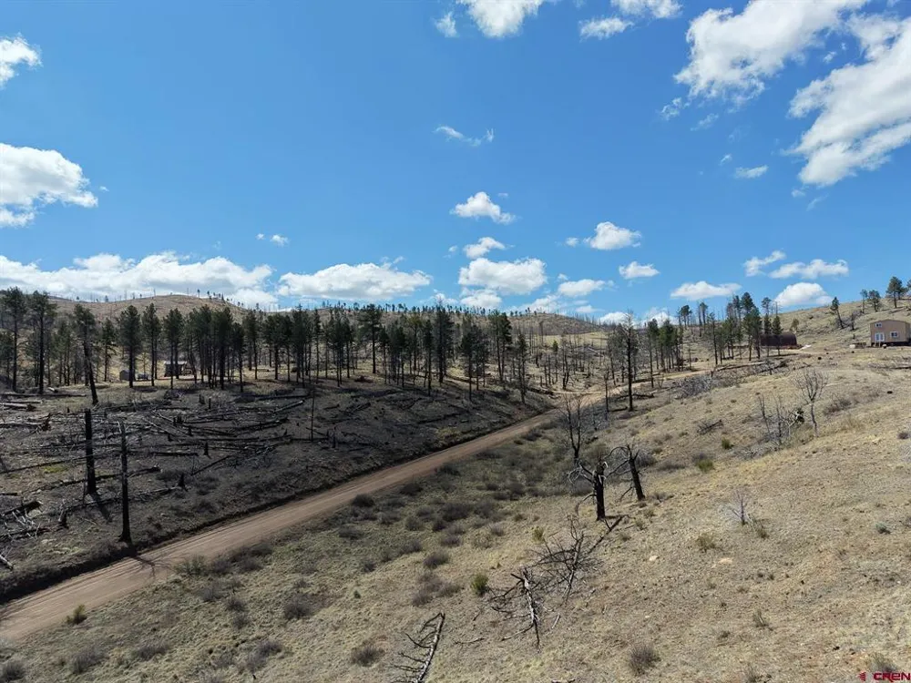 7631 Lewis Smith Rd Fort  Garland, CO 81133