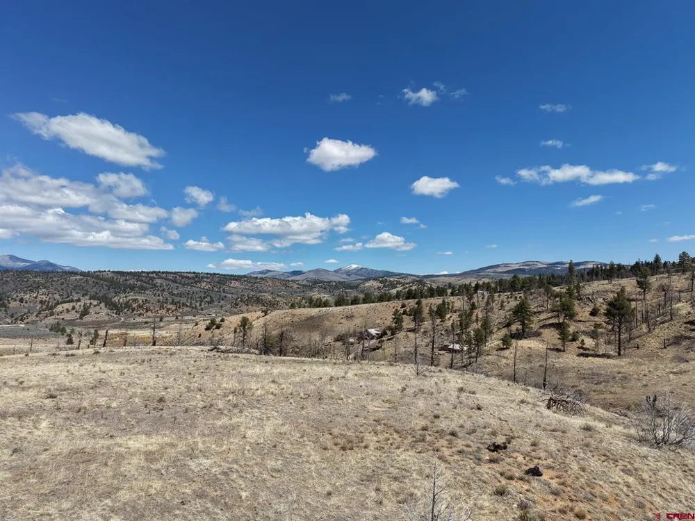 7631 Lewis Smith Rd Fort  Garland, CO 81133