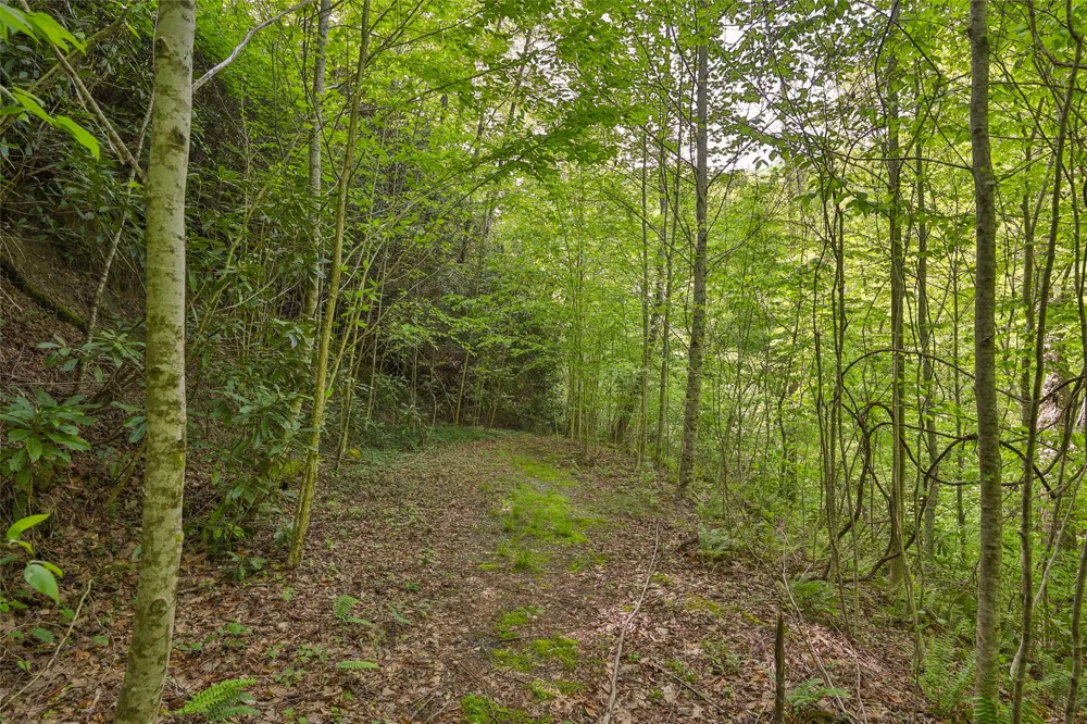 G110 Trimble Ridge Glenville, NC 28736