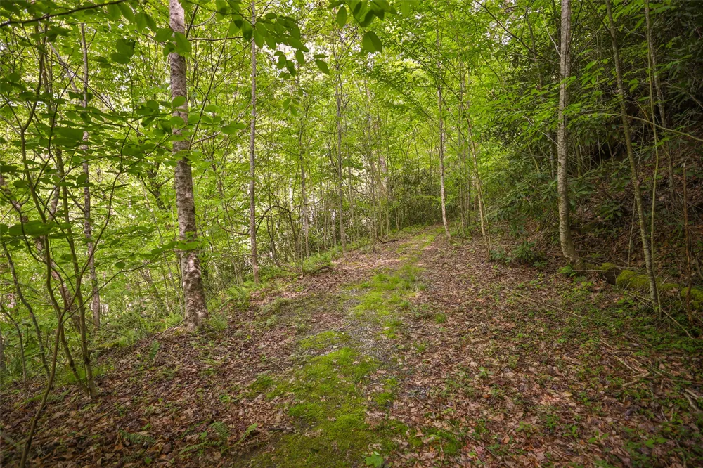 G110 Trimble Ridge Glenville, NC 28736