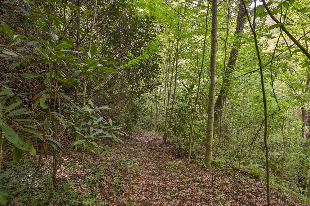 G110 Trimble Ridge Glenville, NC 28736
