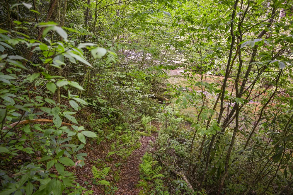 G110 Trimble Ridge Glenville, NC 28736