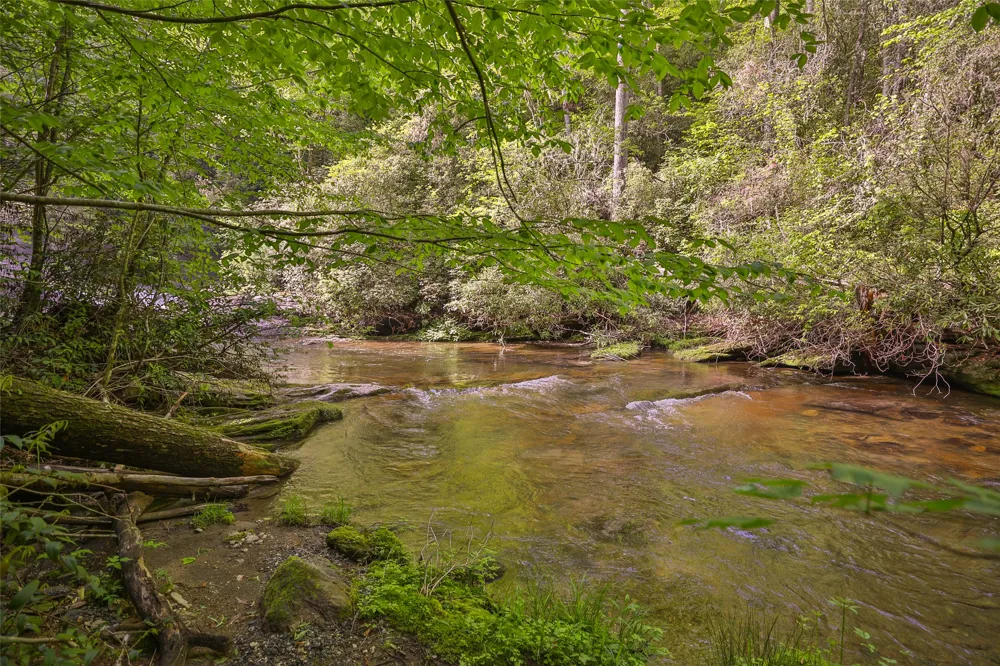 G110 Trimble Ridge Glenville, NC 28736
