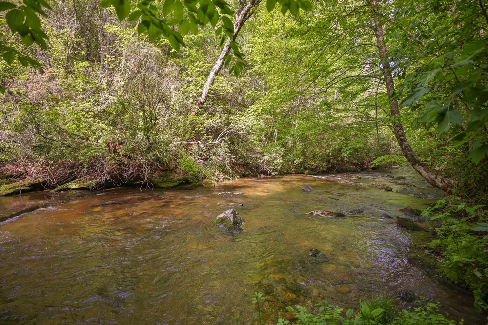 G110 Trimble Ridge Glenville, NC 28736