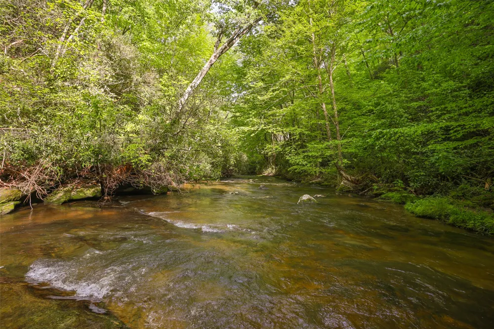 G110 Trimble Ridge Glenville, NC 28736