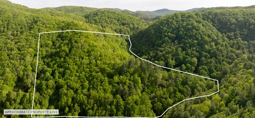G110 Trimble Ridge Glenville, NC 28736