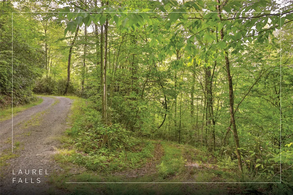 G110 Trimble Ridge Glenville, NC 28736