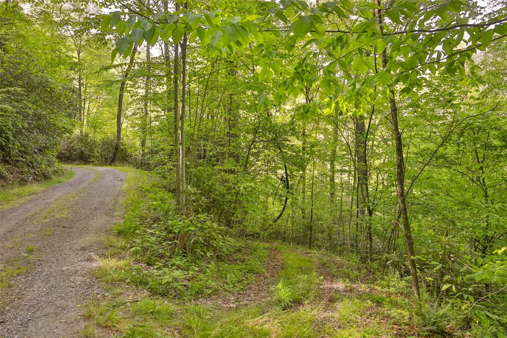 G110 Trimble Ridge Glenville, NC 28736