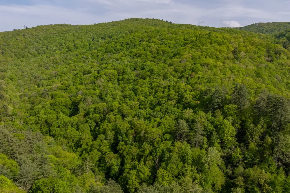 G110 Trimble Ridge Glenville, NC 28736