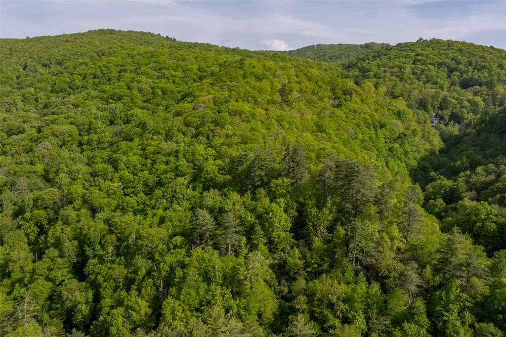 G110 Trimble Ridge Glenville, NC 28736