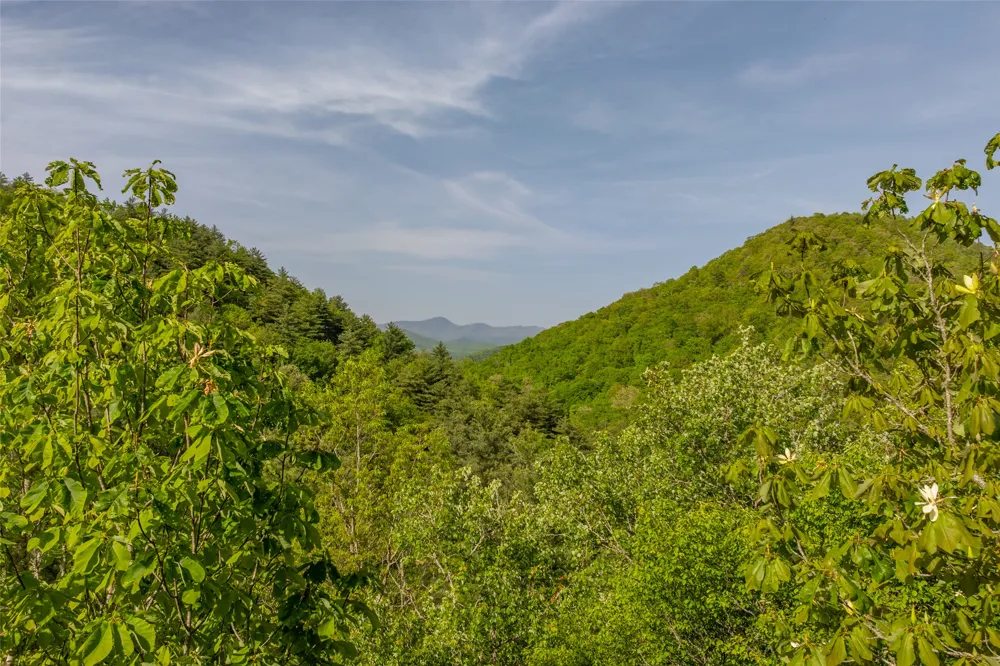 G110 Trimble Ridge Glenville, NC 28736