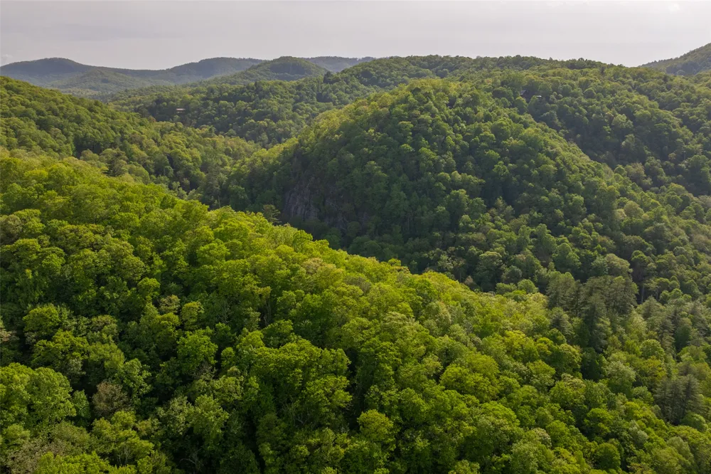 G110 Trimble Ridge Glenville, NC 28736