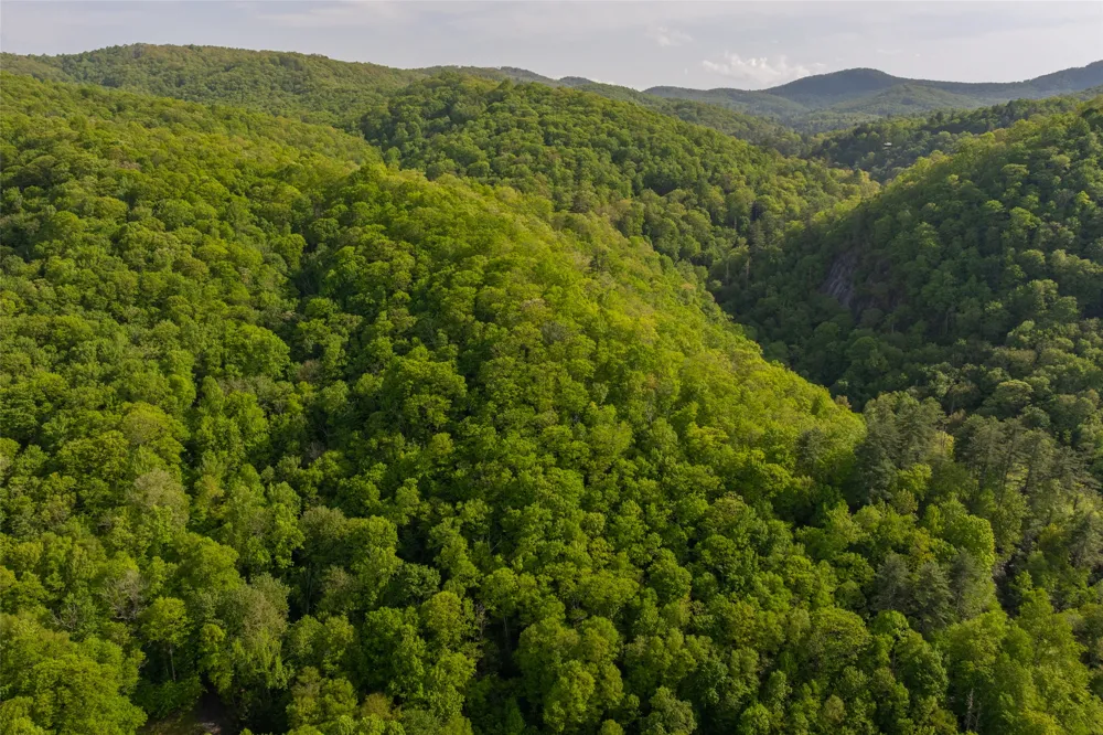 G110 Trimble Ridge Glenville, NC 28736
