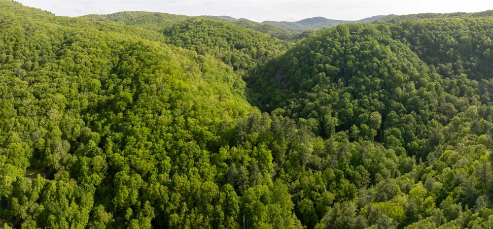 G110 Trimble Ridge Glenville, NC 28736