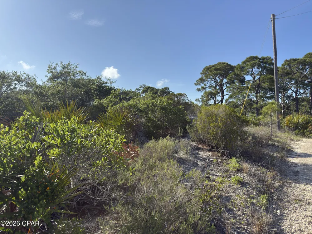 105 Sand Trace Drive Cape San Blas, FL 32456