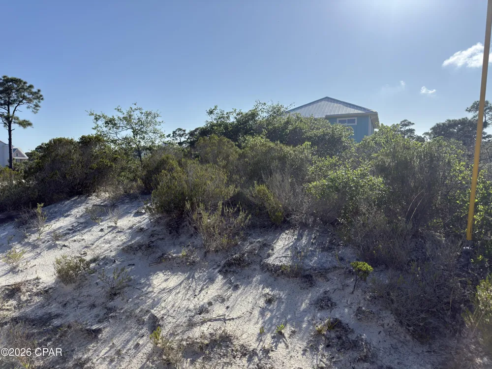 105 Sand Trace Drive Cape San Blas, FL 32456