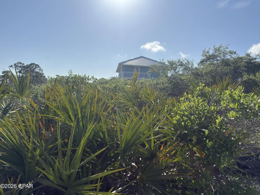 105 Sand Trace Drive Cape San Blas, FL 32456