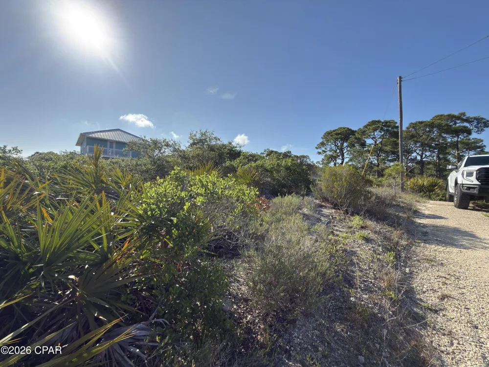 105 Sand Trace Drive Cape San Blas, FL 32456