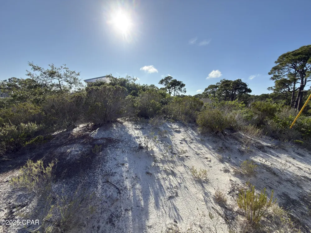 105 Sand Trace Drive Cape San Blas, FL 32456