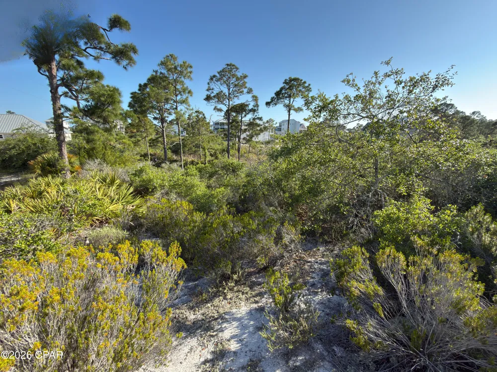 105 Sand Trace Drive Cape San Blas, FL 32456