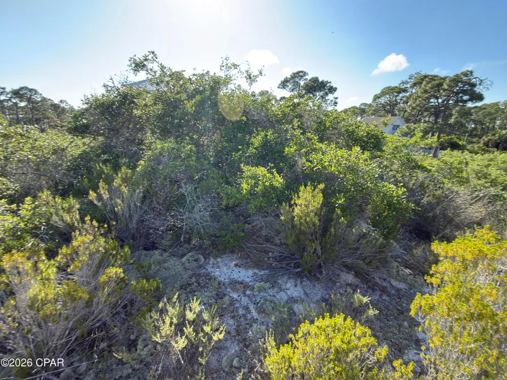 105 Sand Trace Drive Cape San Blas, FL 32456
