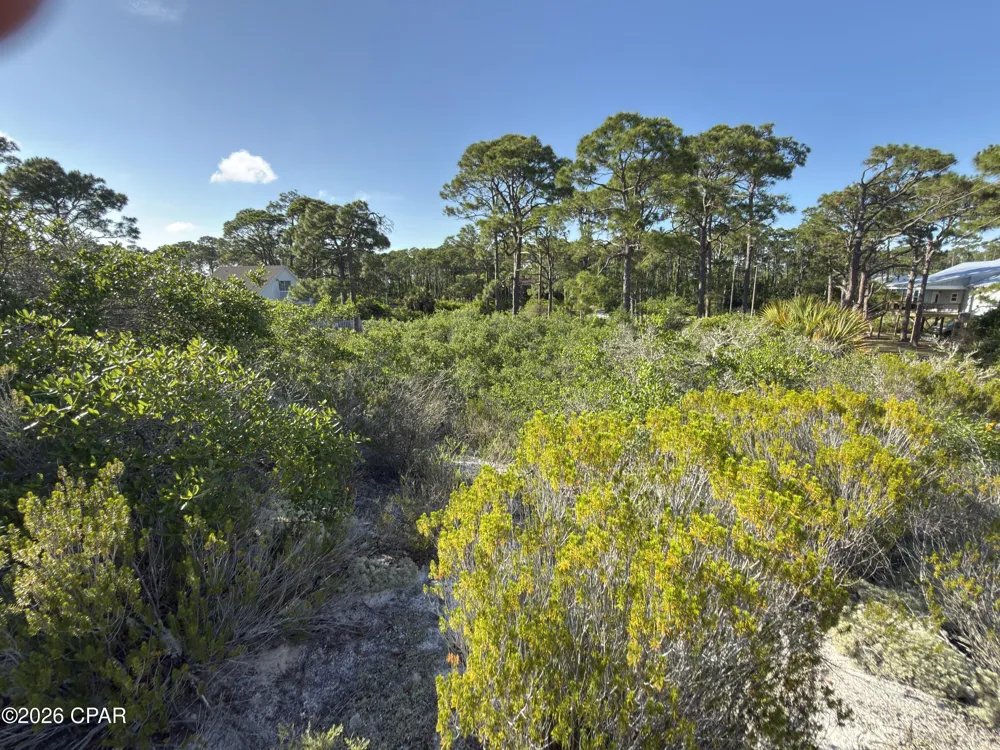 105 Sand Trace Drive Cape San Blas, FL 32456