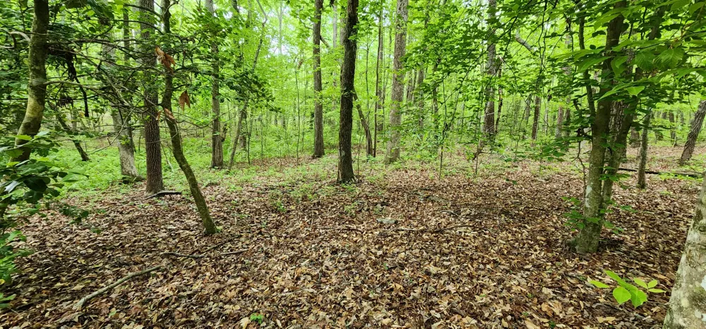 Windstone Drive Sequatchie, TN 37374