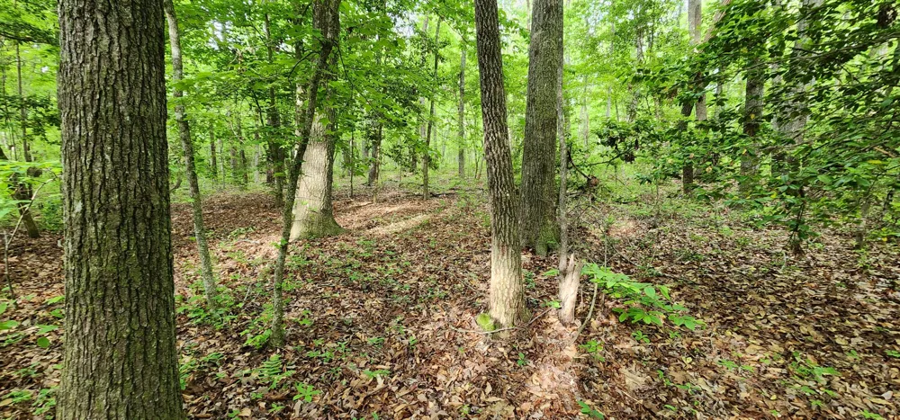 Windstone Drive Sequatchie, TN 37374