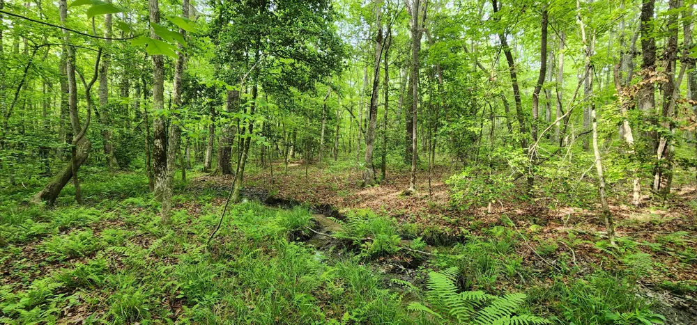 Windstone Drive Sequatchie, TN 37374