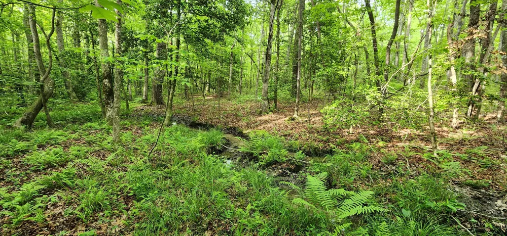 Windstone Drive Sequatchie, TN 37374