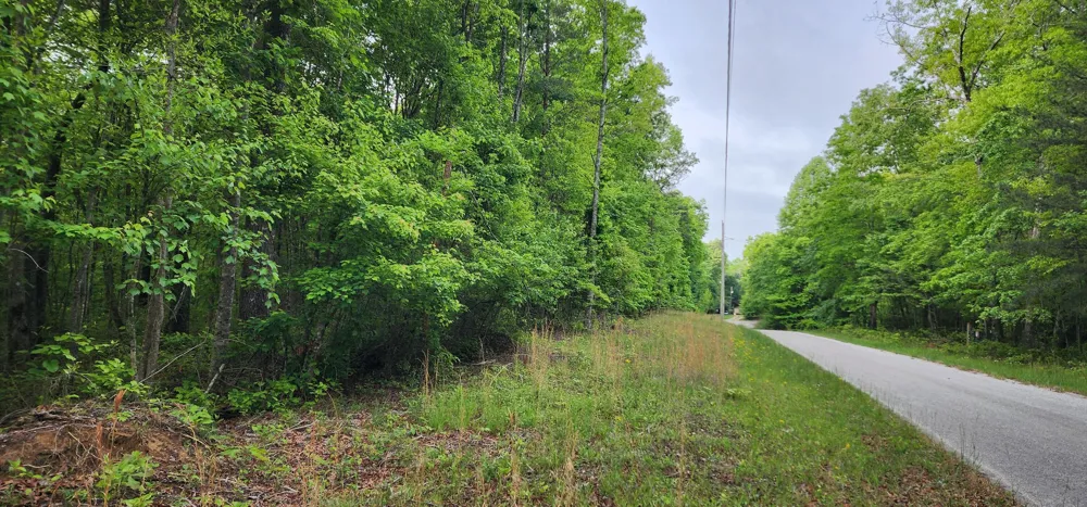 Windstone Drive Sequatchie, TN 37374